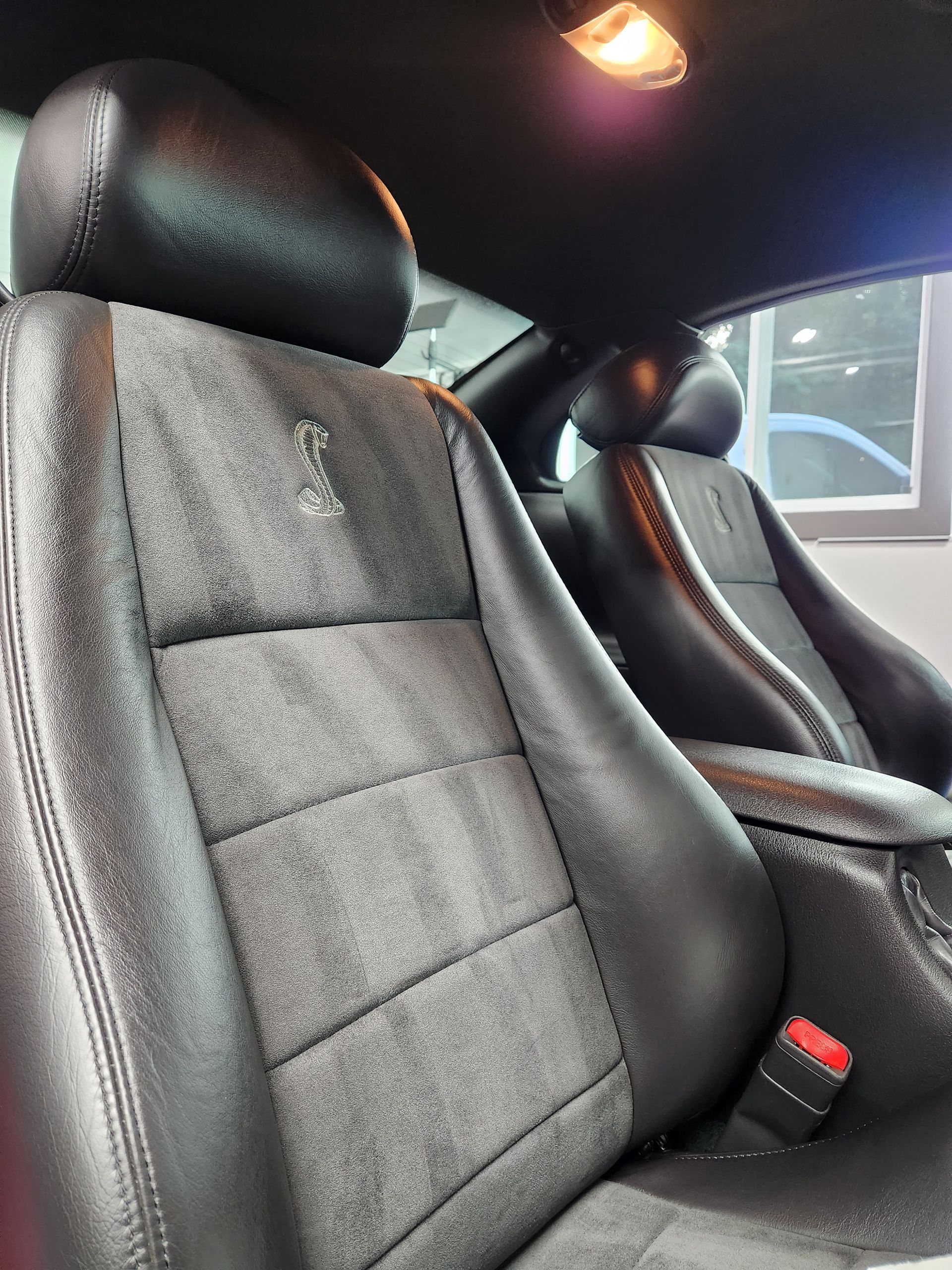 Mustang cobra seats