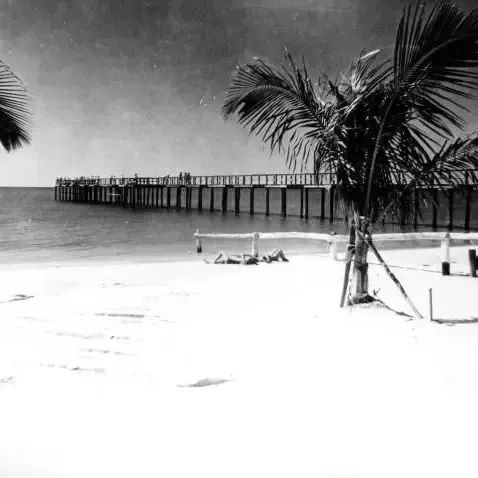 A black and white photo of a beach with a pier in the background