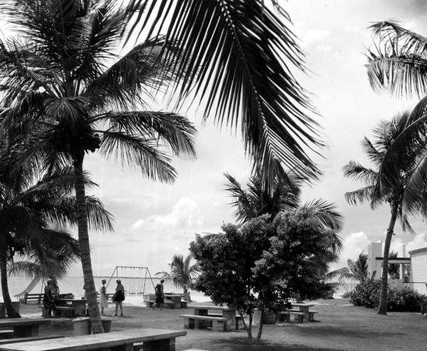 A black and white photo of a park with palm trees