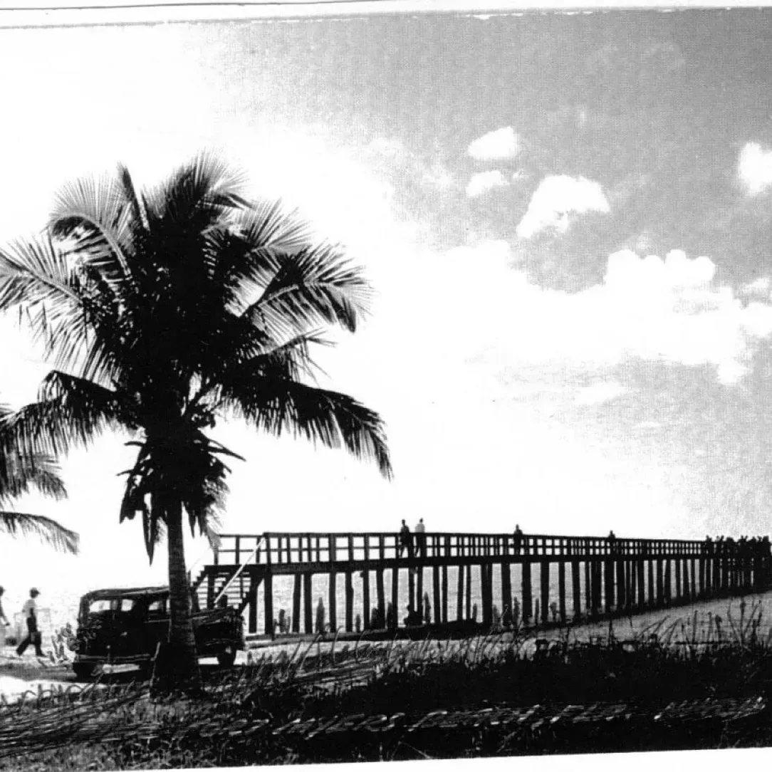 A black and white photo of a bridge with a palm tree in the foreground