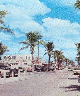 A palm tree lined street with cars parked on the side of it