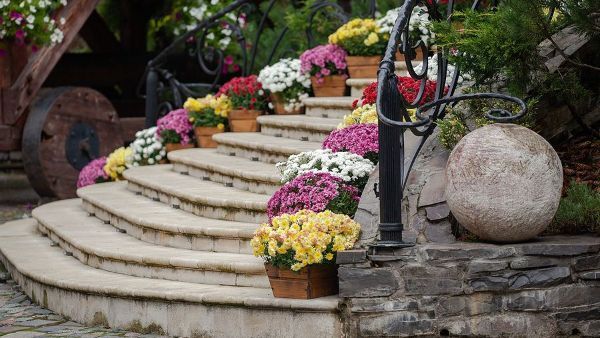 A set of stairs decorated with potted flowers and a stone ball.