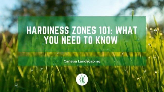 Ways That Landscaping Contractors Categorize Gardening Zones