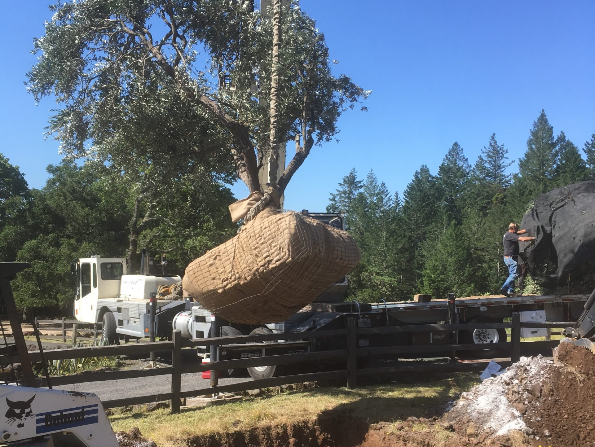 Crane being used for landscape construction