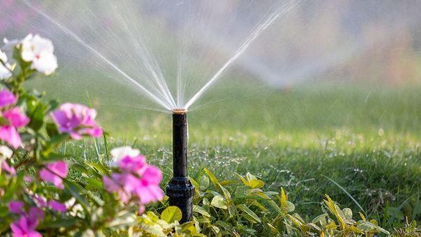 A sprinkler is spraying water in a garden with flowers in the background.