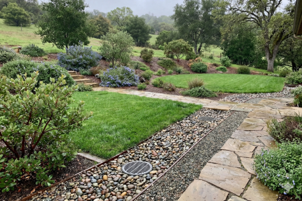 Stone path and grassy lawns in a tiered garden, surrounded by shrubs, trees and a rocky drainage area.