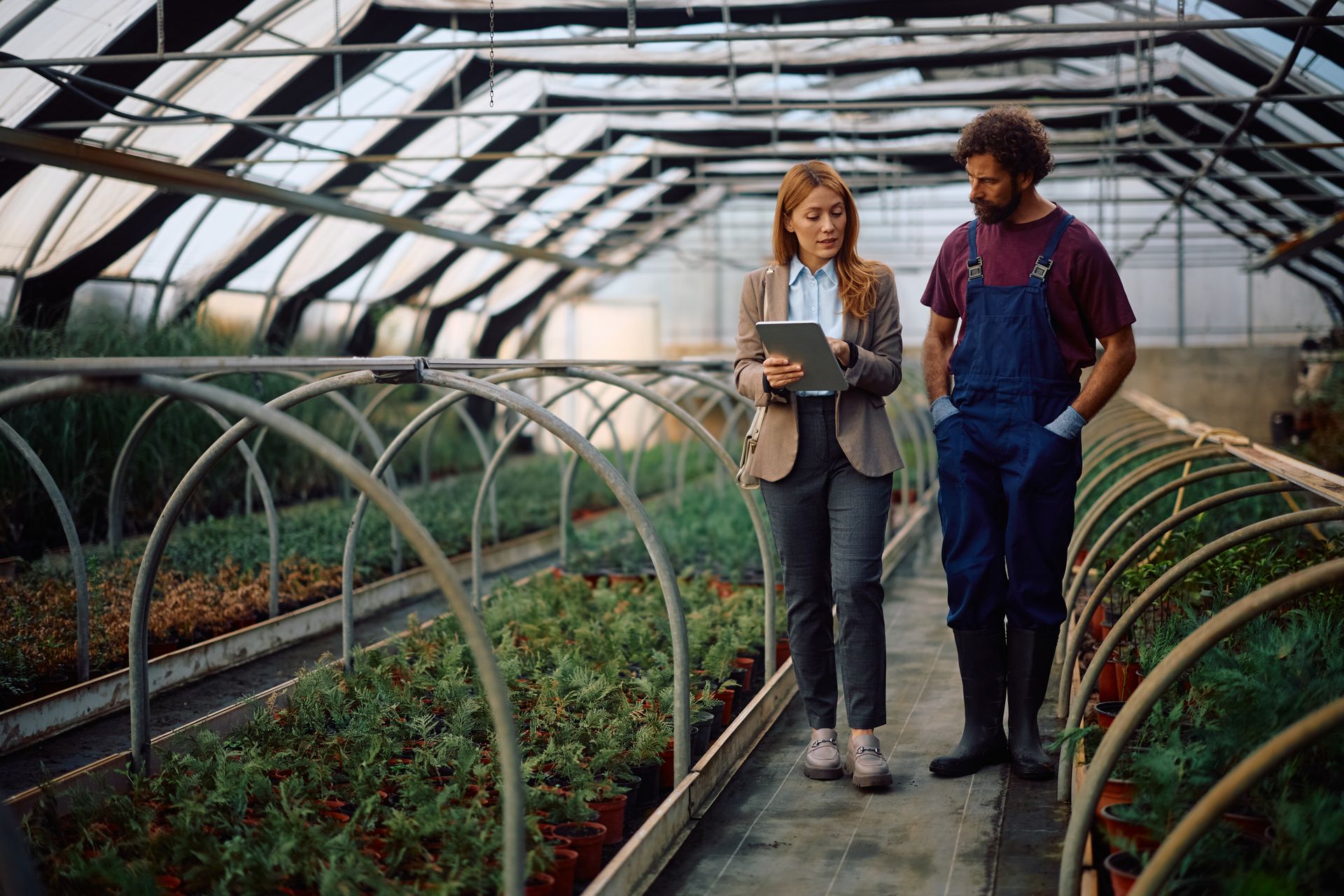 Woman in blazer and man in overalls in a greenhouse, looking at a tablet. Plants line the rows.