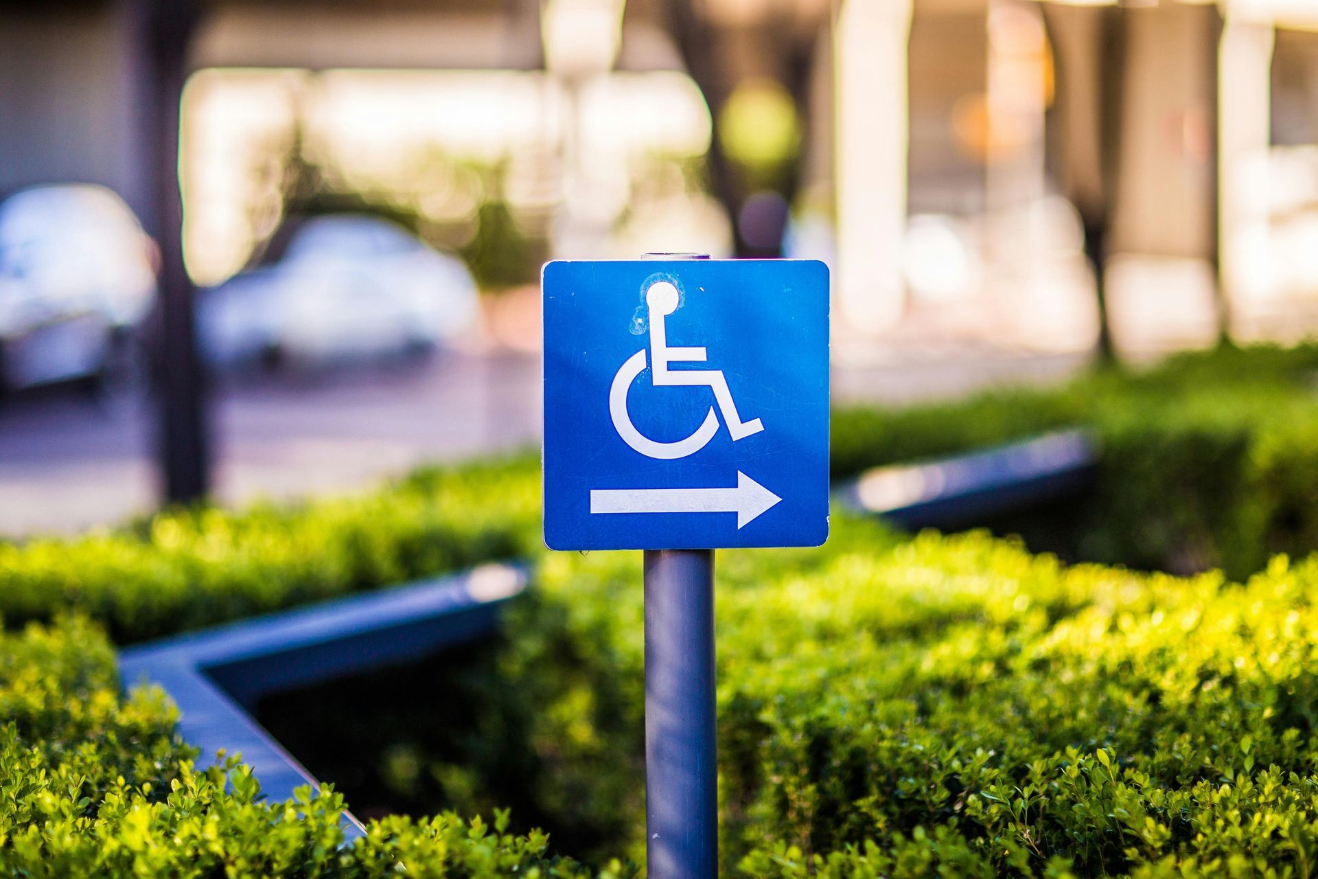 Blue handicap parking sign pointing right, surrounded by green bushes; cars in the background.