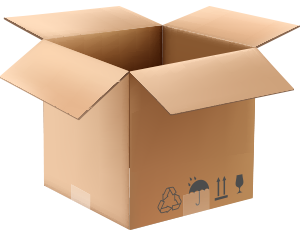 CAJAS DE CARTON