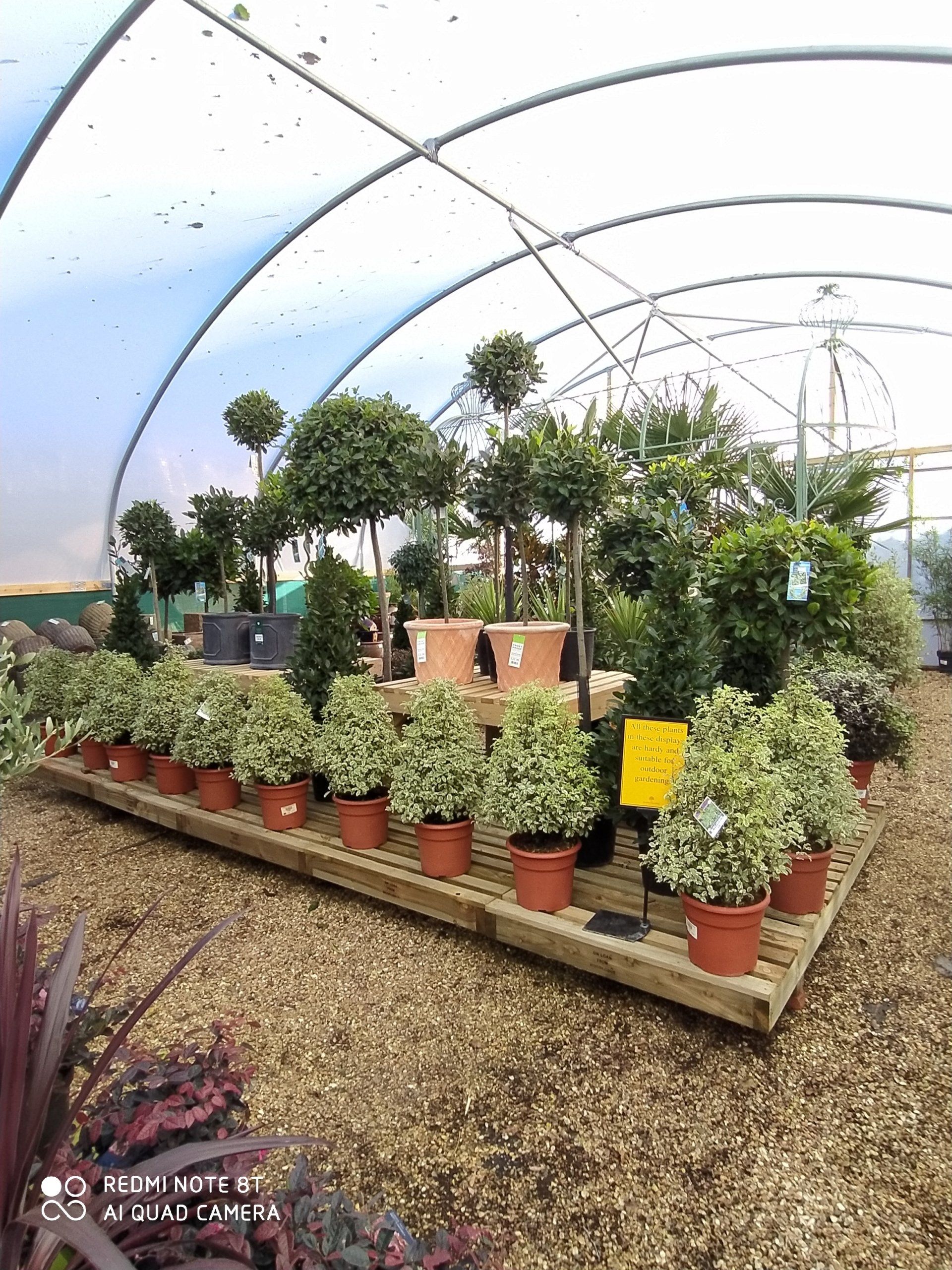 Gifts Available Moulton Nurseries Norwich, Norfolk