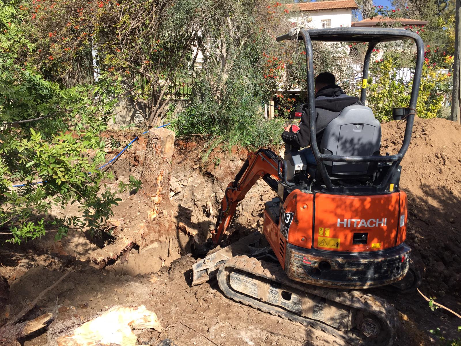 השכרת מנוף סל