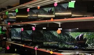 Rows of black aquariums on shelves with colorful hanging labels in a pet store.