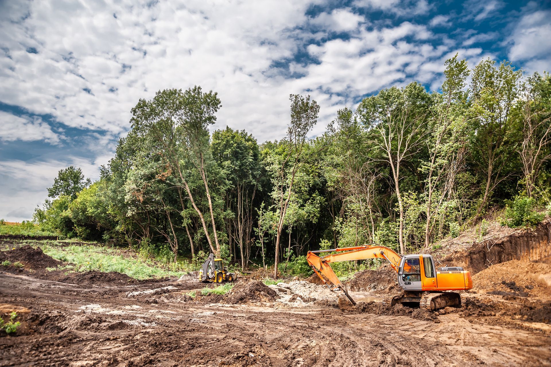 An excavator is digging a hole in the dirt in a forest.