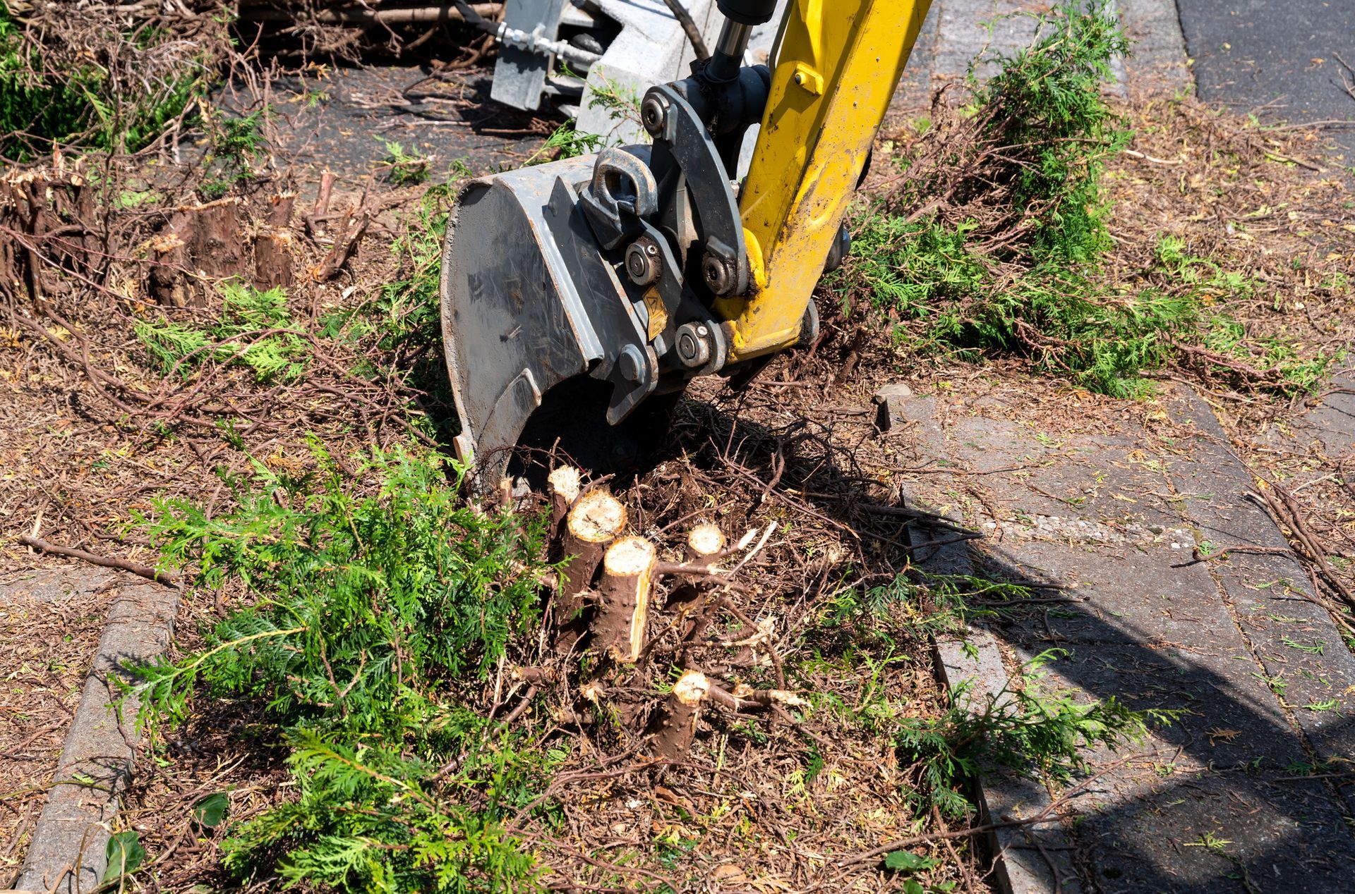 A stump grinder is cutting a tree stump in a yard.