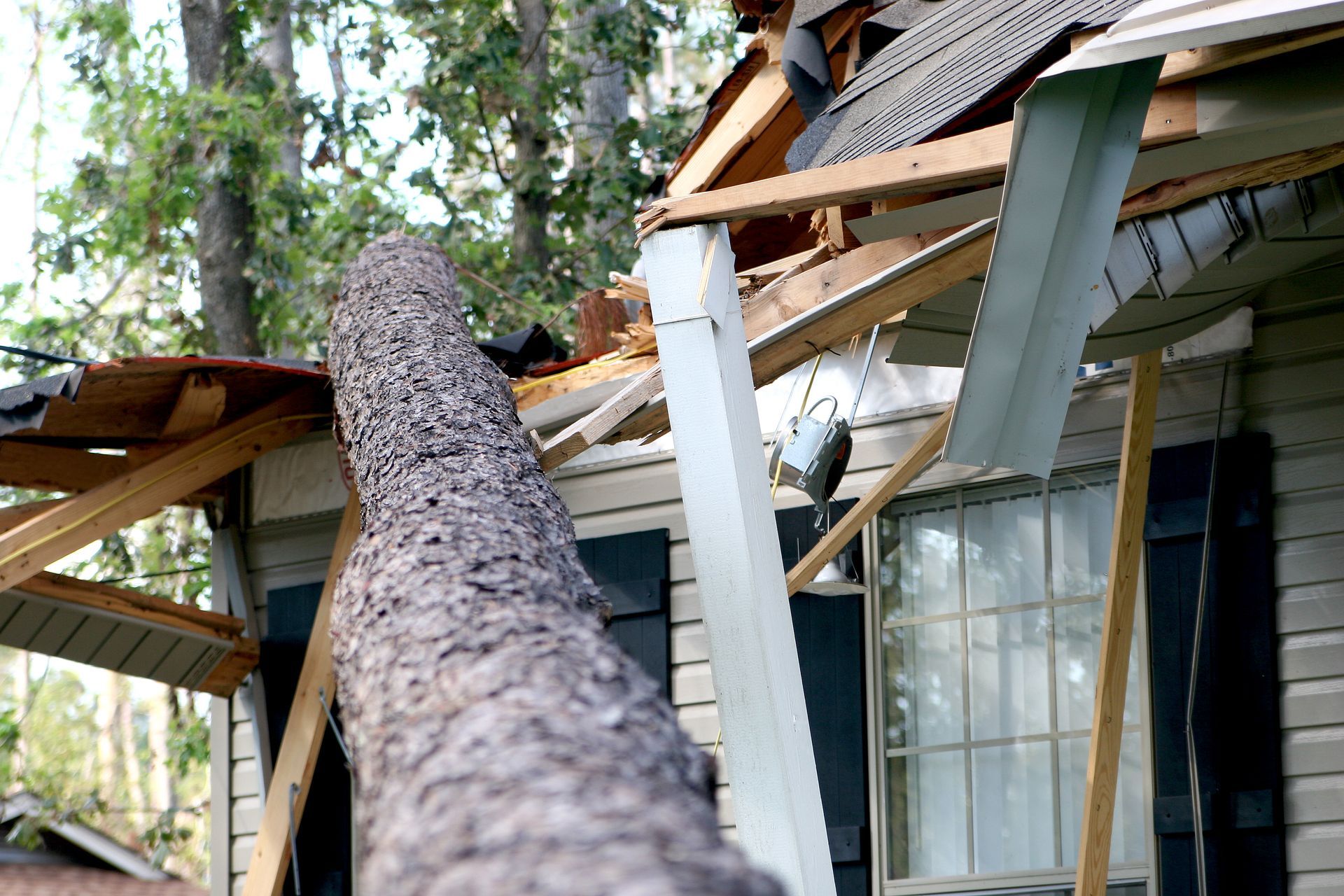 A tree has fallen on the roof of a house.