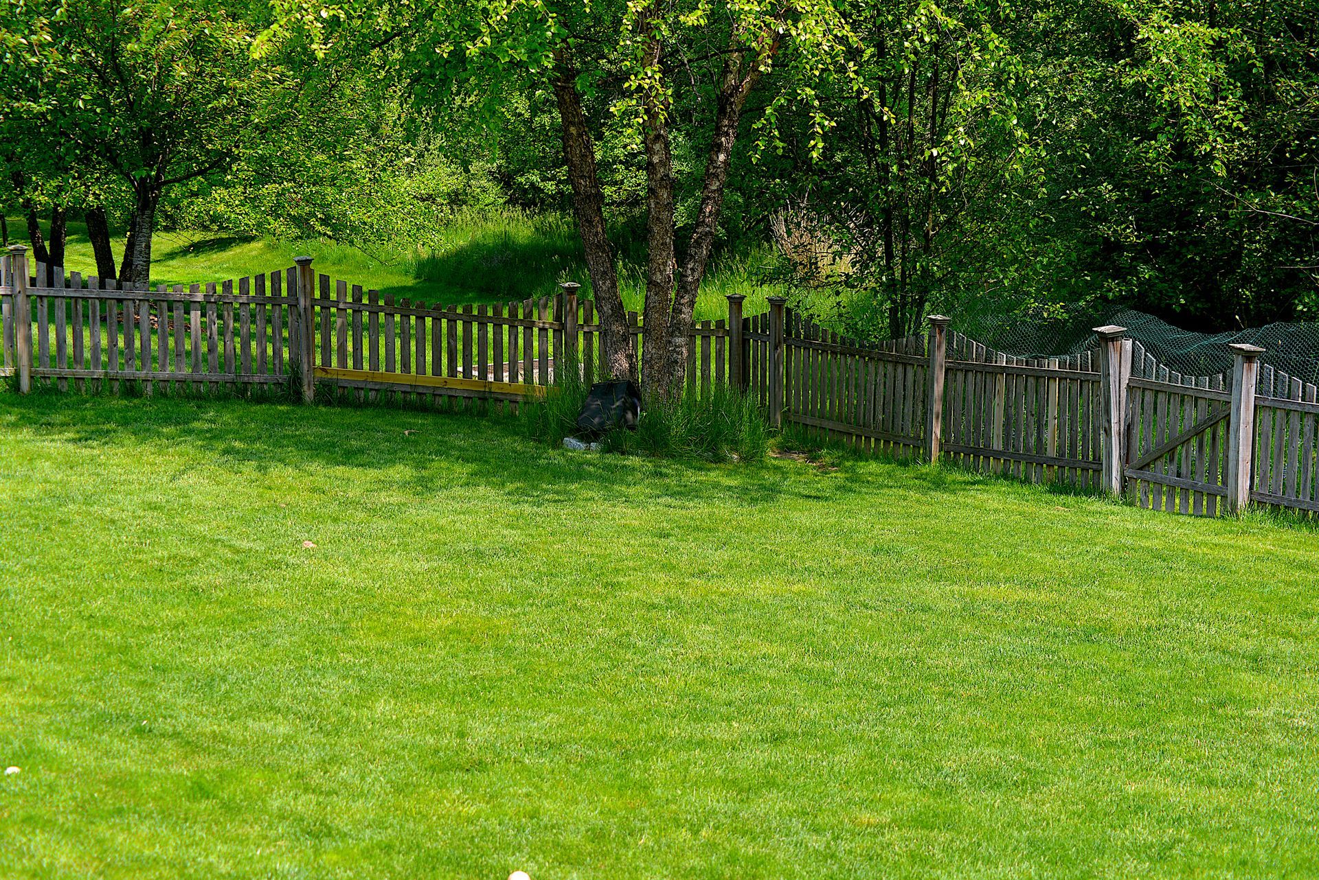 A wooden fence surrounds a lush green field.