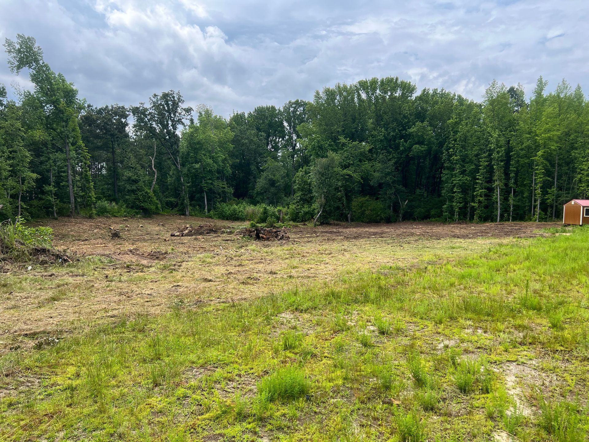 A large grassy field with trees in the background.