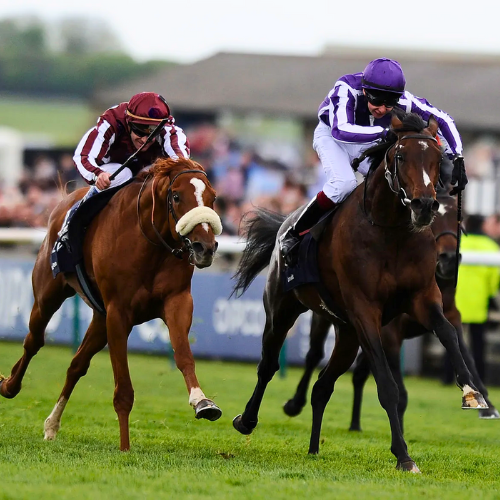 Two jockeys are racing horses on a race track