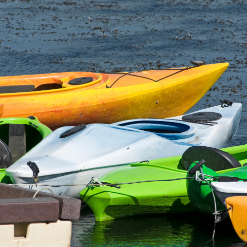 A bunch of kayaks are lined up in the water