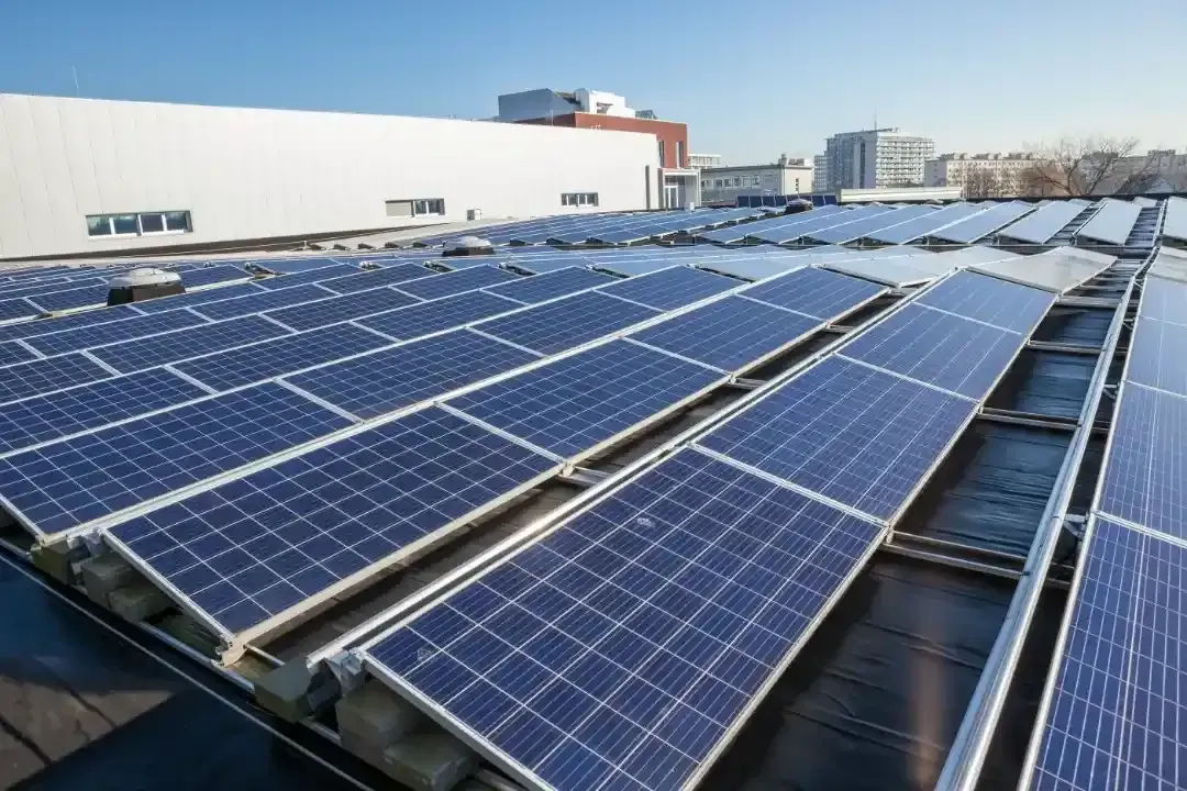 Solar Darling Heights