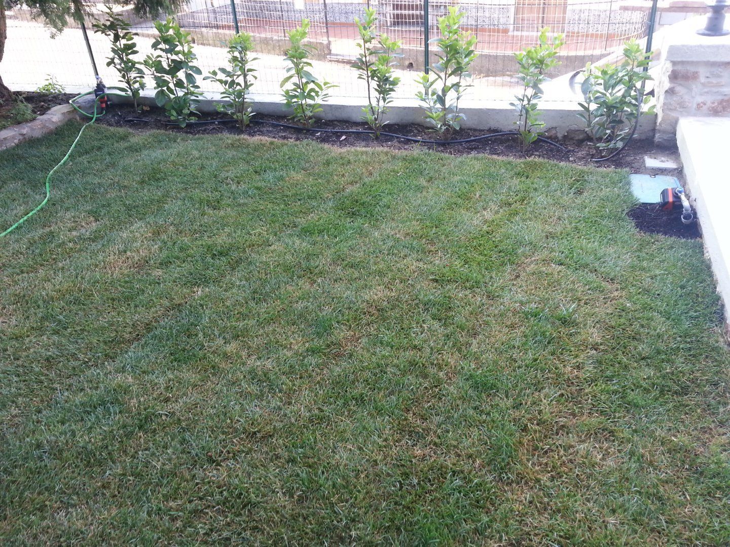 Realizzazione e manutenzione di aree verdi