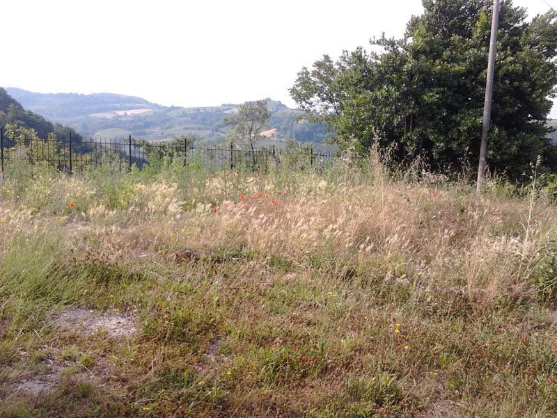 pulizia di giardini e terreni