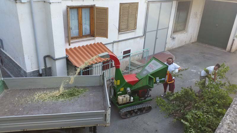 pulizia di giardini dai rovi