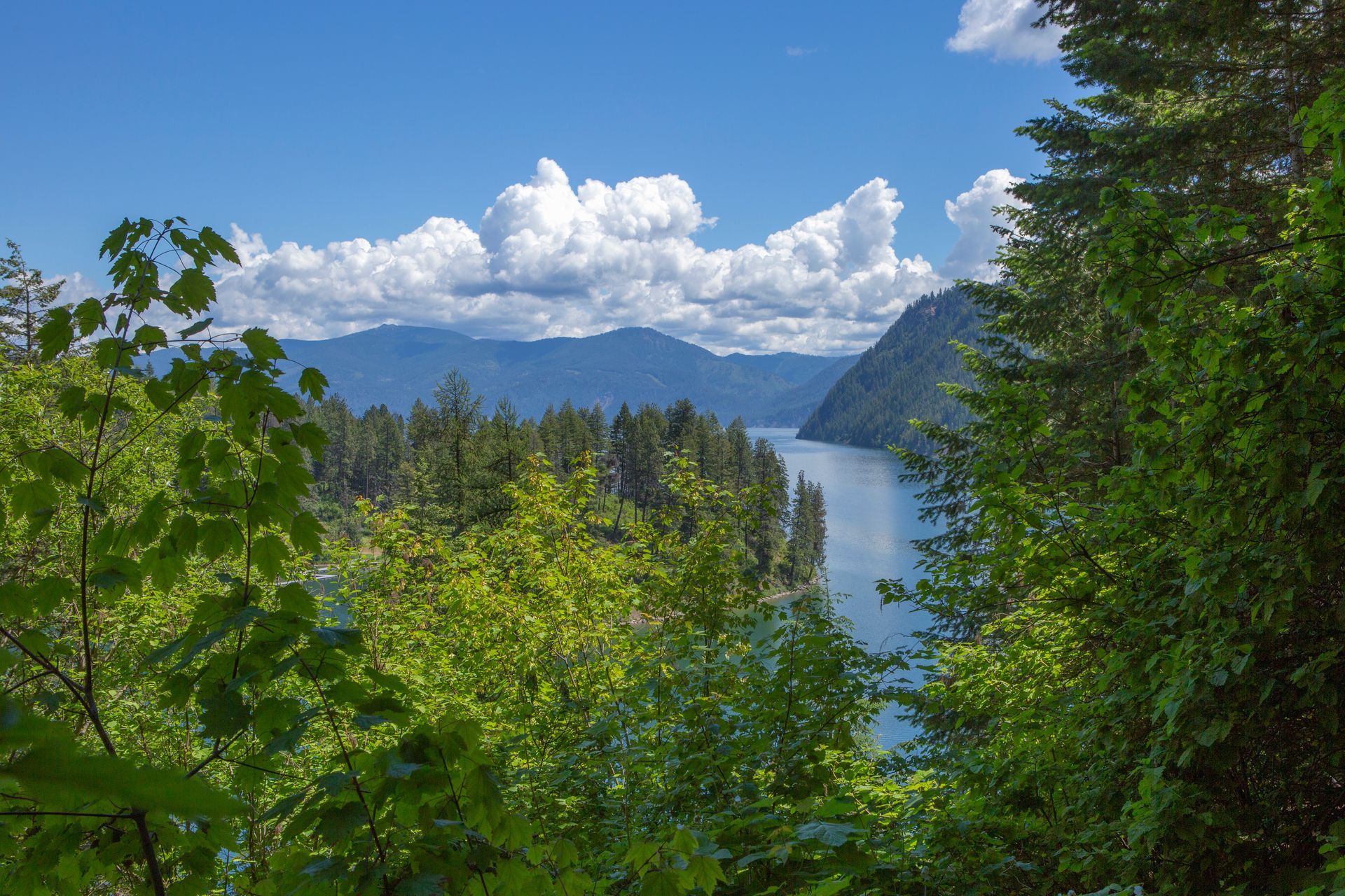 A blue lake winds through a lush, green forest under a bright blue sky with puffy white clouds.
