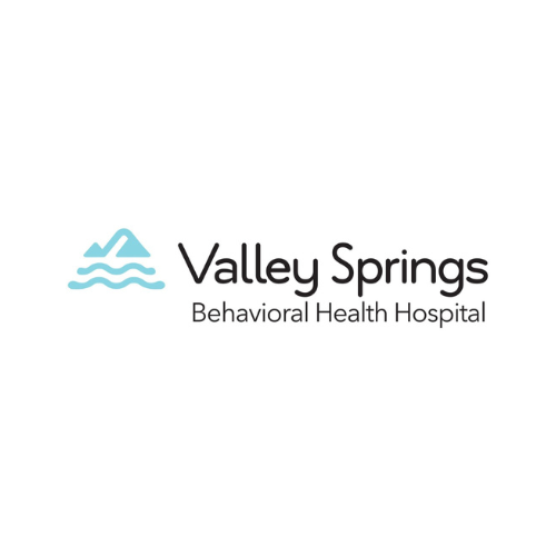 Valley Springs logo