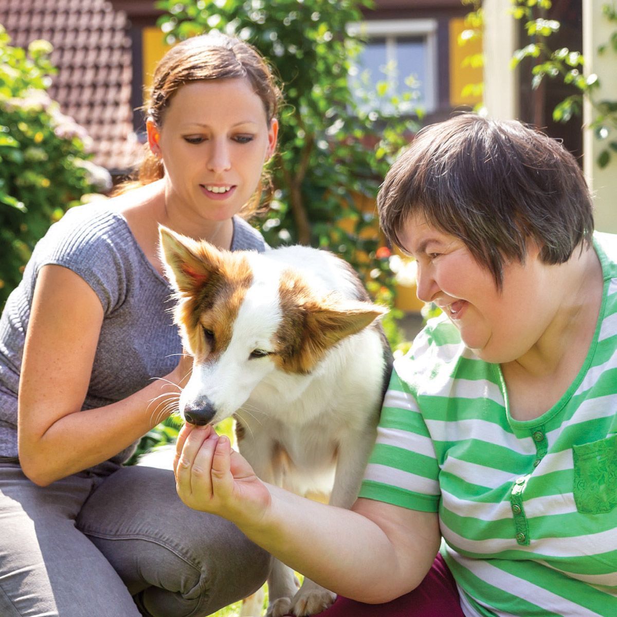 Two women are playing with a brown and white dog