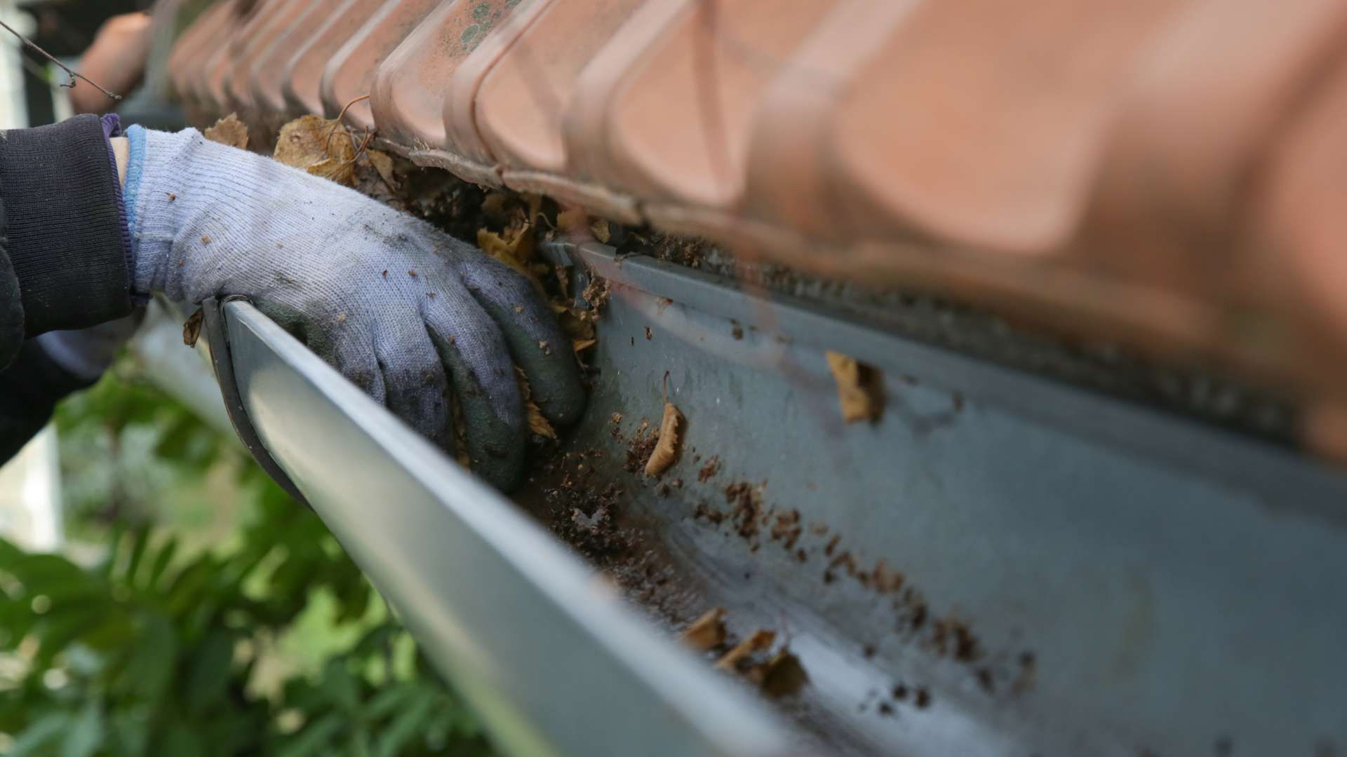 A person is cleaning a gutter on a roof.