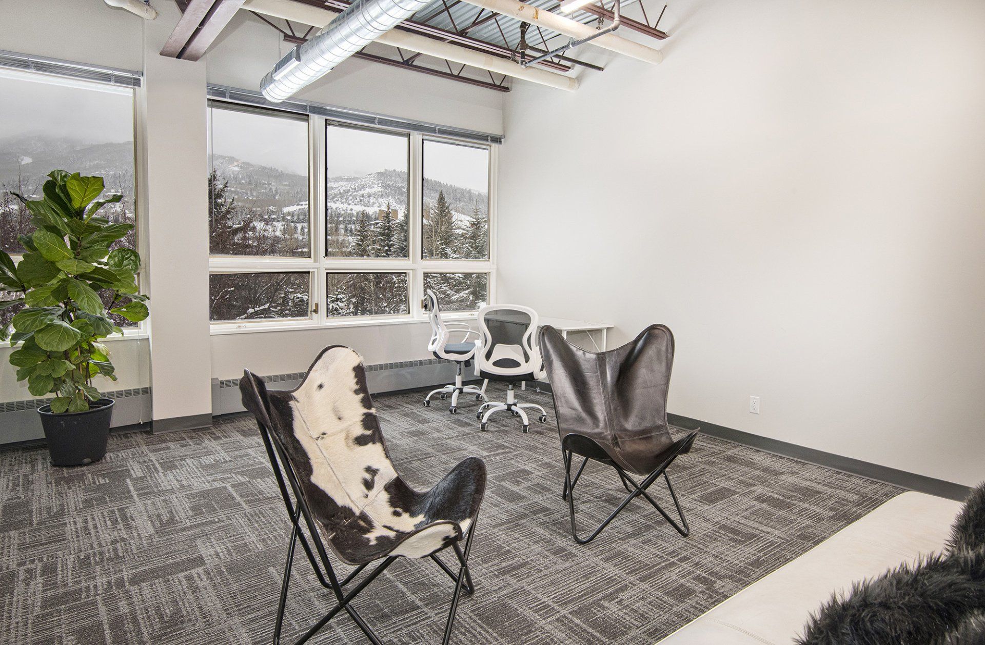 Interior office photo of the ark