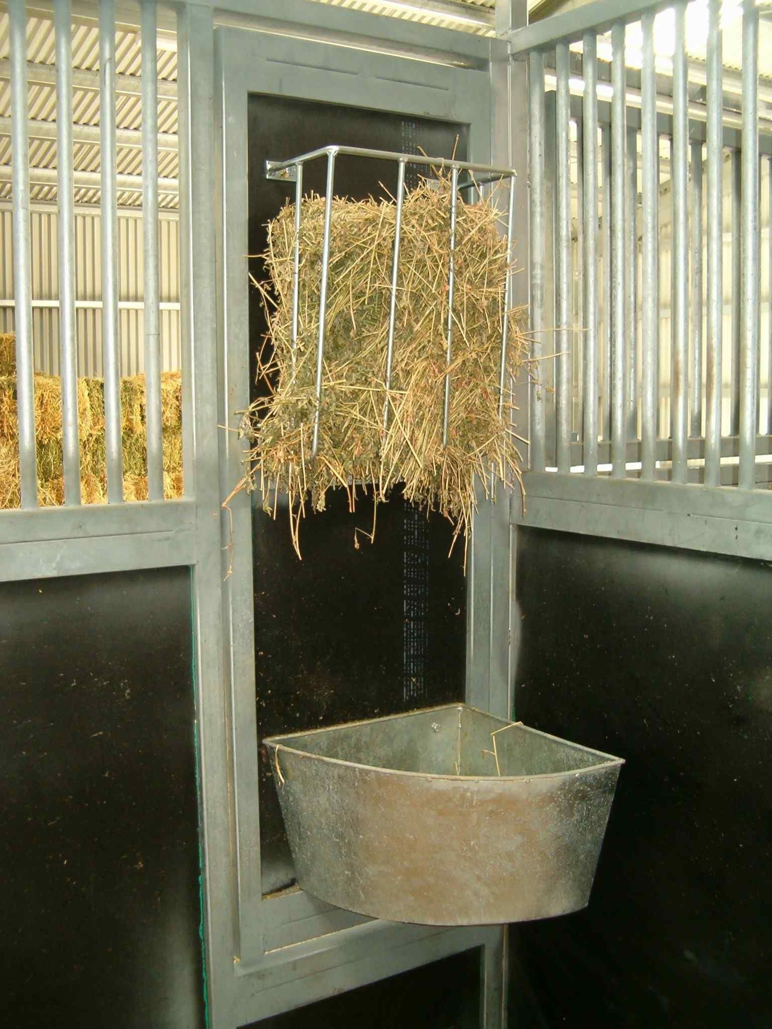 Hay is hanging from a metal rack in a fenced in area