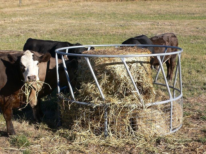 Durable steel livestock feeder designed for efficient hay and grain feeding.
