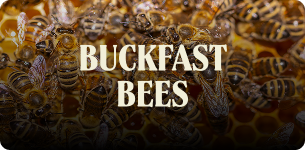 Close-up of Buckfast bees on a honeycomb, with the words 