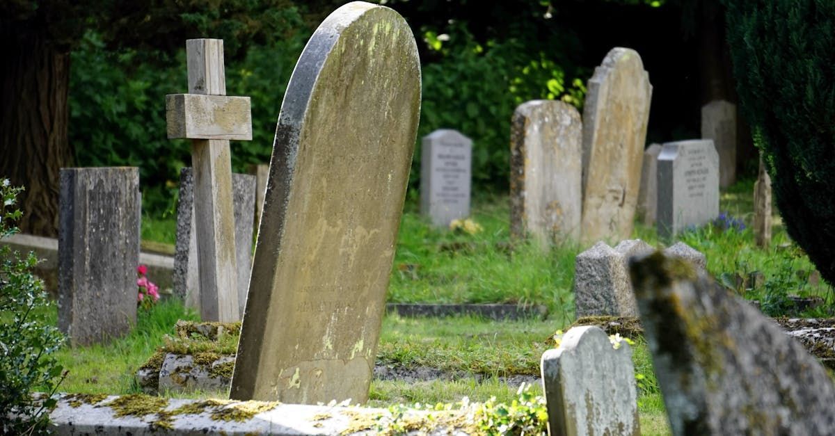 A cemetery with a lot of graves and trees in the background.