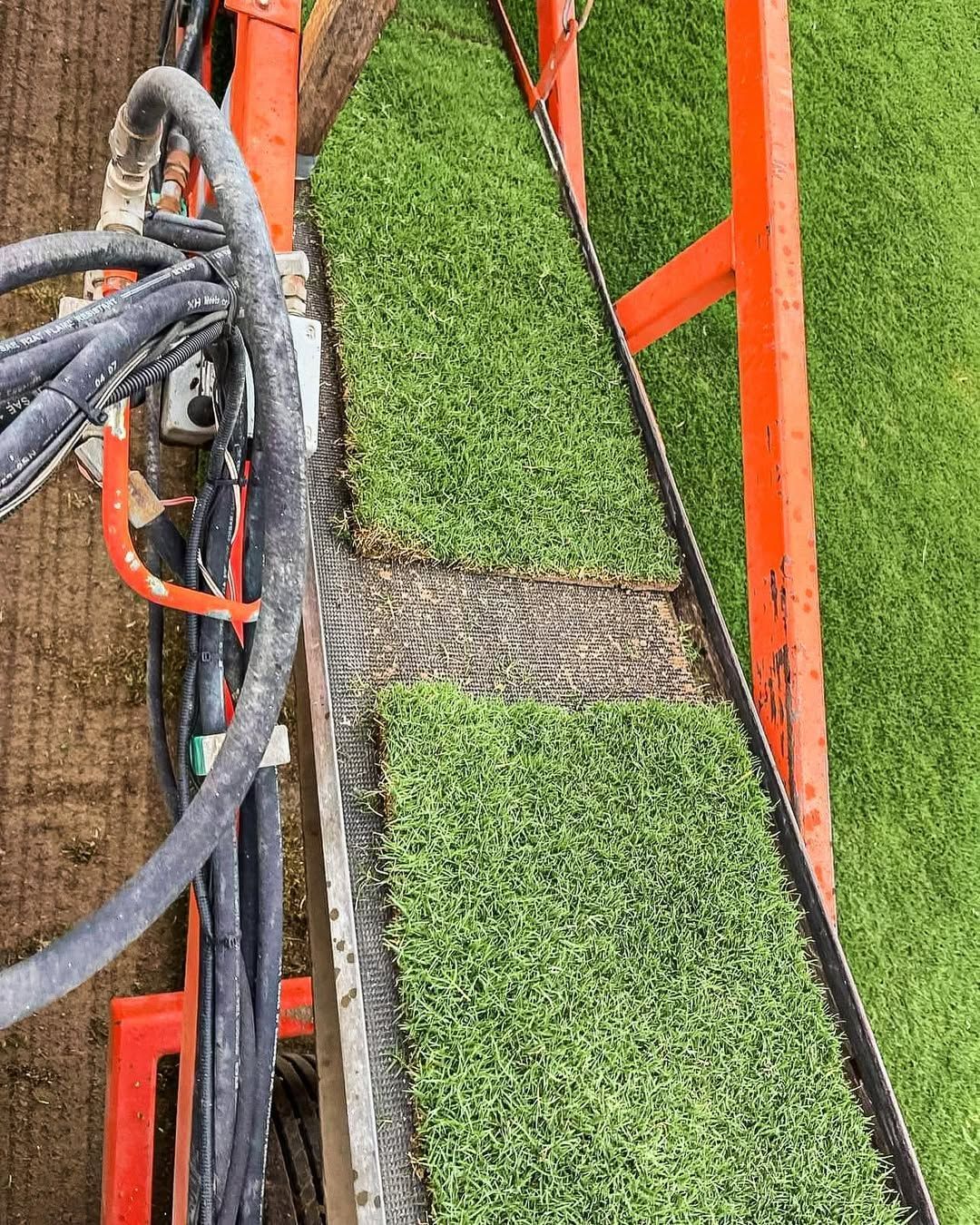 An Orange Machine Cutting and Arranging Freshly Cut Green Turf — Top Notch Turf in Richmond, QLD
