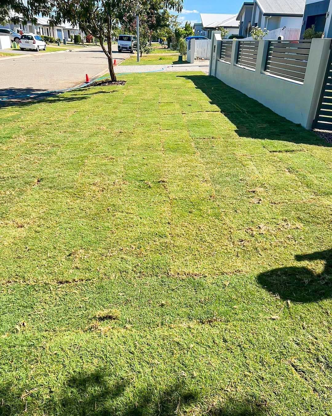 Lush Green Lawn with A Tree, Street, Houses, and A White Fence — Top Notch Turf in Ayr, QLD