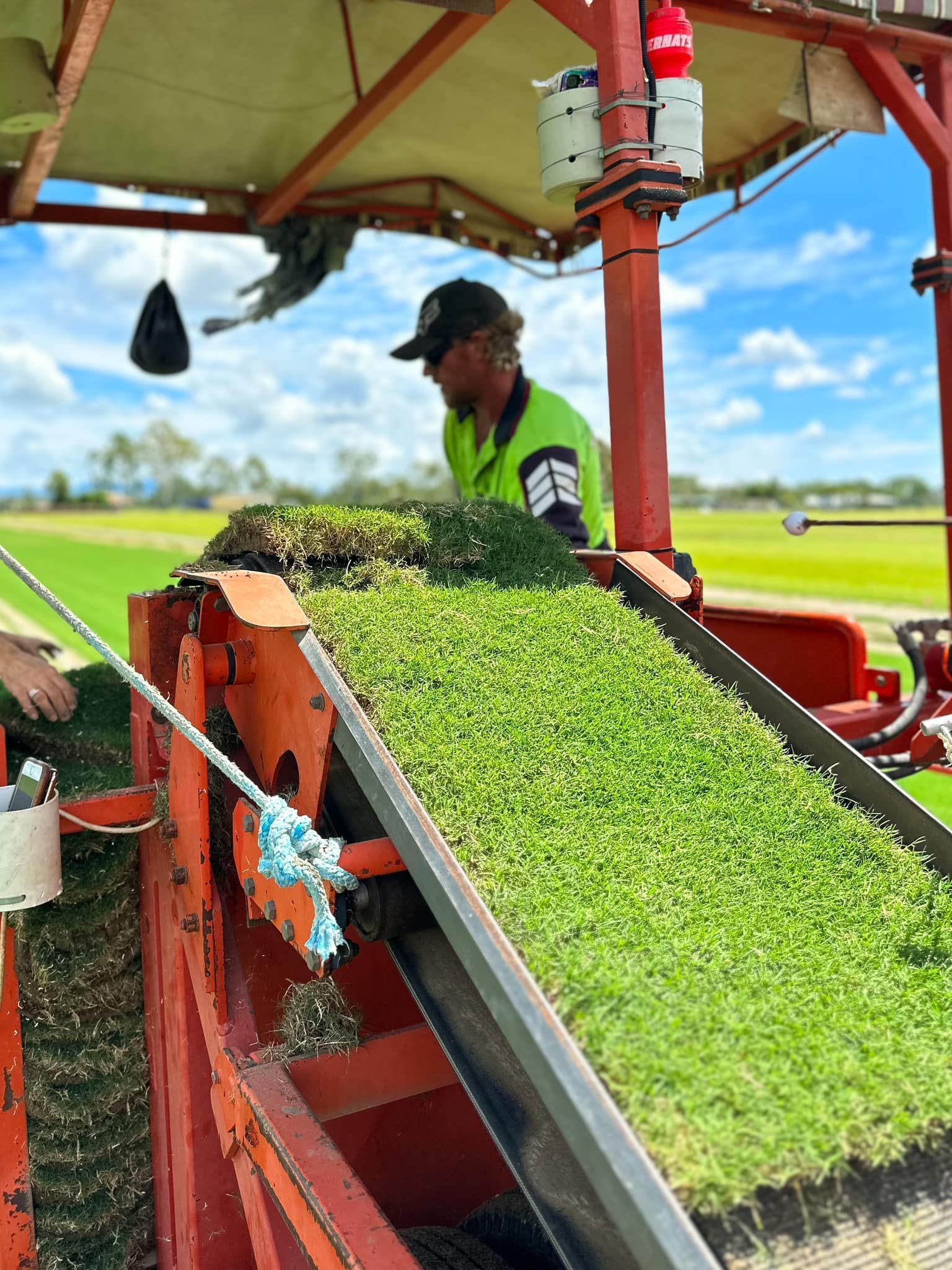 Man Operating Turf Harvester, Harvesting Green Grass on Sunny Day — Top Notch Turf in Rasmussen, QLD