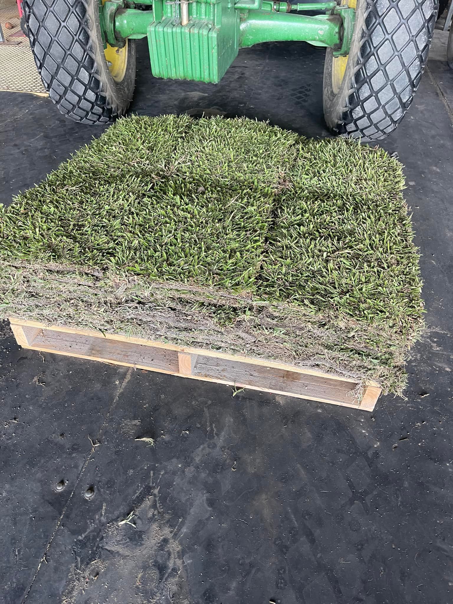 Pallet of Small Green Plants Under Tractor Wheels — Top Notch Turf in Richmond, QLD