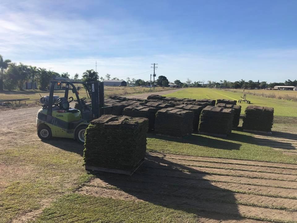 Forklift Moving Pallets of Freshly Cut Sod on A Field Under a Blue Sky — Top Notch Turf in Cairns, QLD