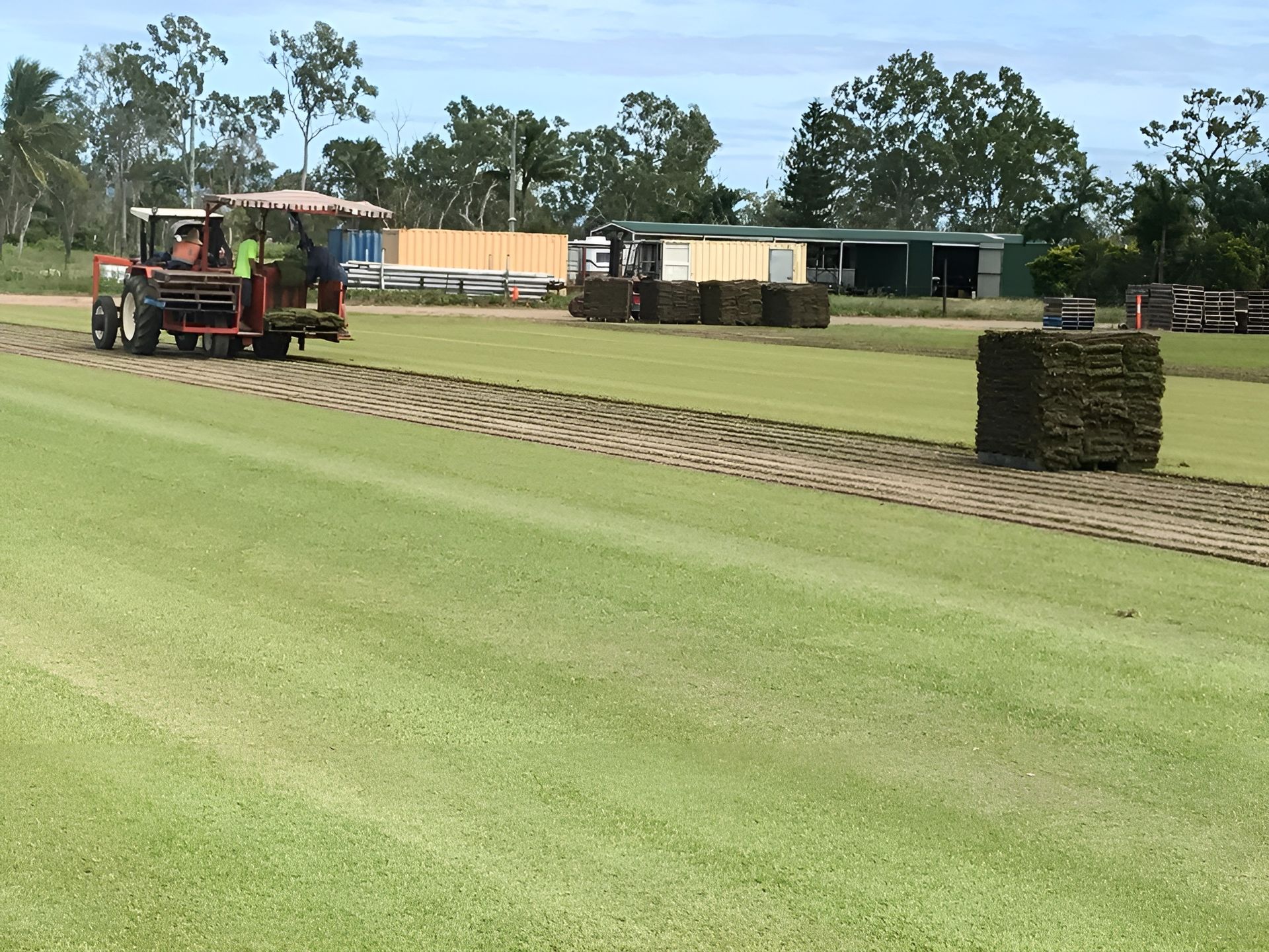 Tractor Harvesting Turf Rolls from A Green Field on A Sunny Day — Top Notch Turf in Clermont, QLD