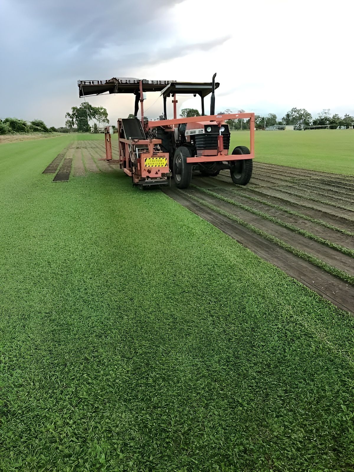 A Sod-Cutting Machine Harvesting Turf Grass in A Field — Top Notch Turf in Cairns, QLD