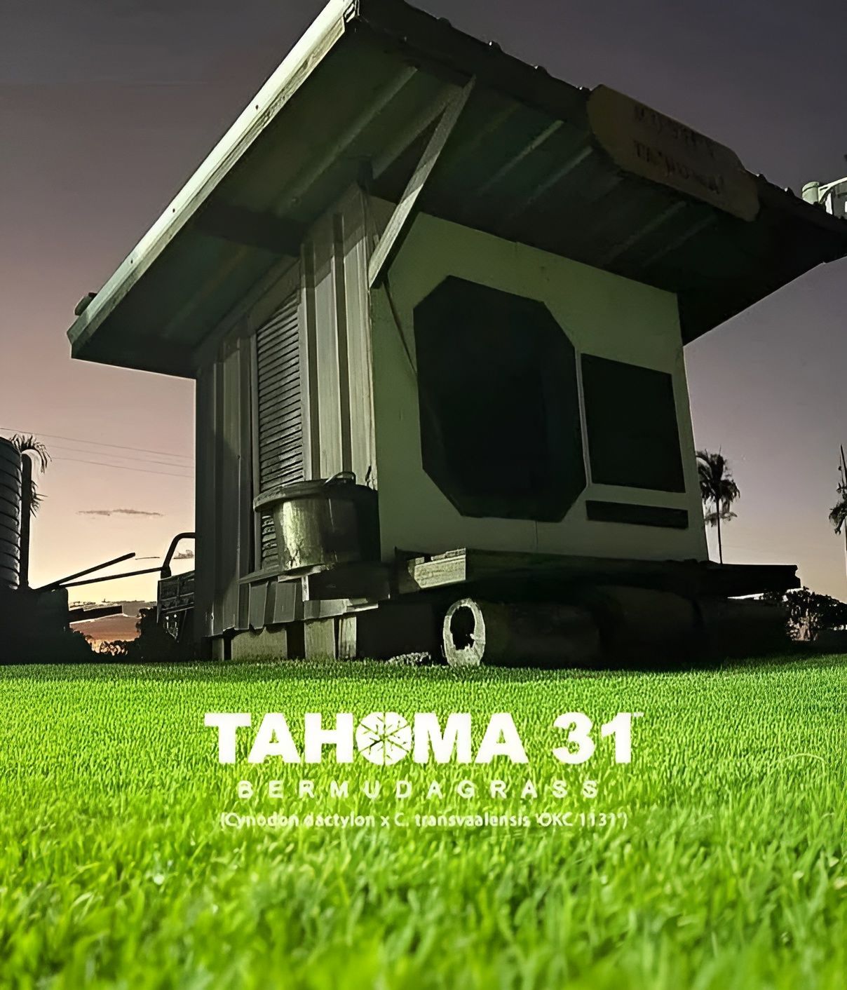 Small Building on Grass, Lit at Night with Tahoma 31 Text with Bermudagrass Below — Top Notch Turf in Charters Towers, QLD