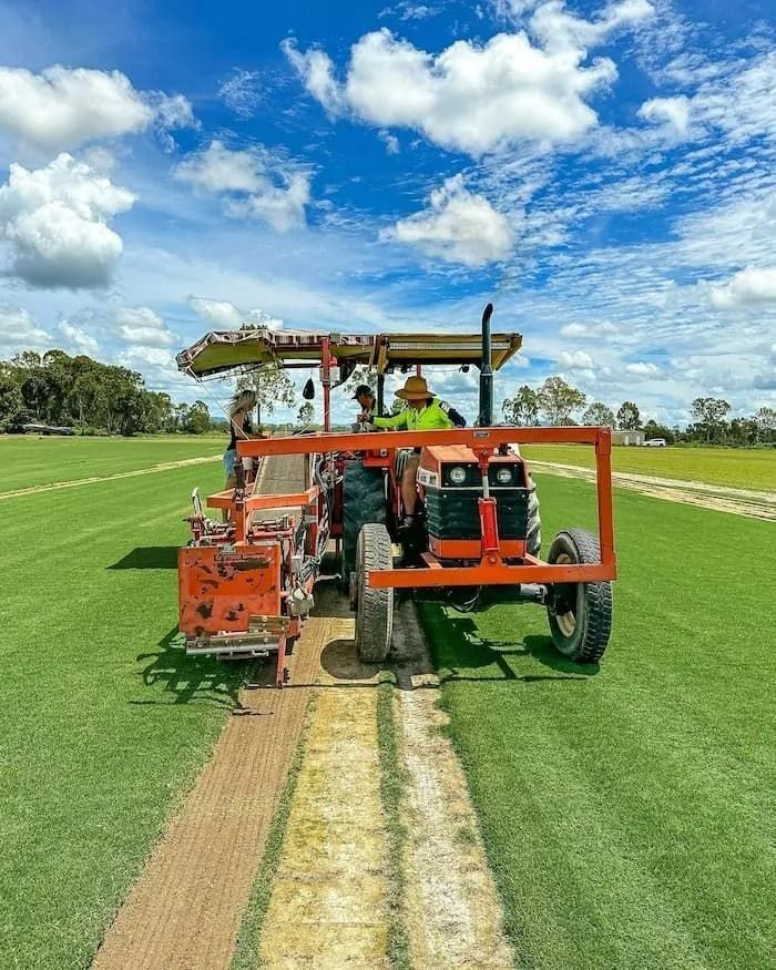 Tractor Cutting a Strip of Turf on A Green Lawn Under a Partly Cloudy Blue Sky — Top Notch Turf in Rasmussen, QLD