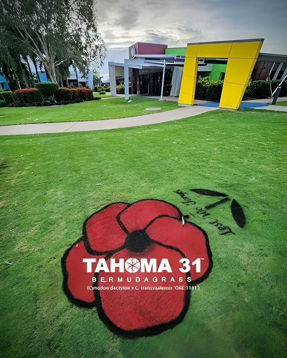 Lush Green Lawn with A Large Red Poppy and Text, in Front of A Modern Building — Top Notch Turf in Mackay, QLD