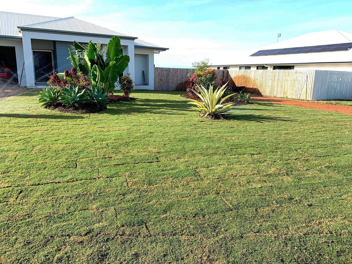A Grassy Front Yard With Tropical Plants And Shrubs, Situated Between Two Modern Houses Under A Clear Blue Sky — Top Notch Turf in Rasmussen, QLD
