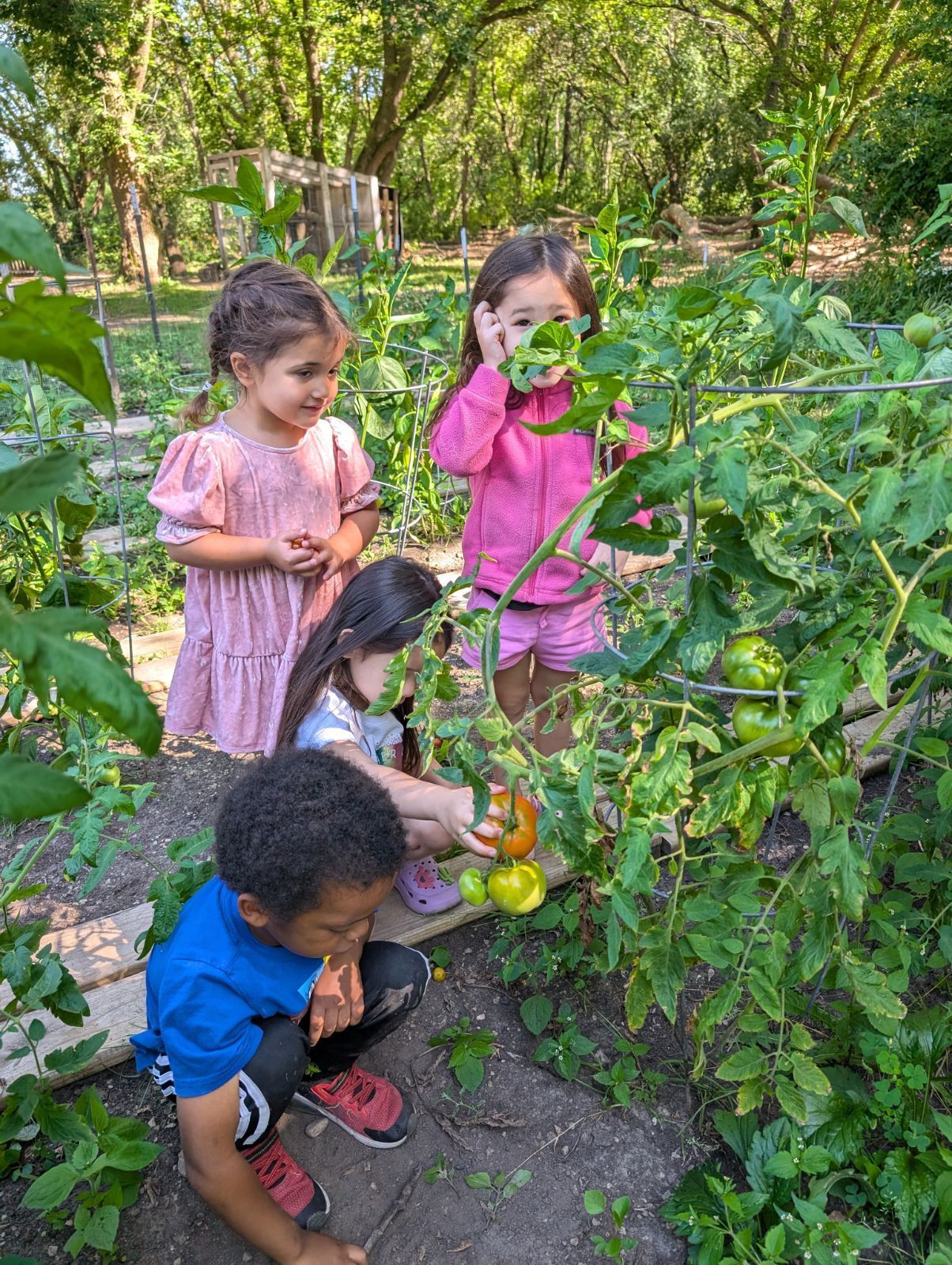 Kids playing outside