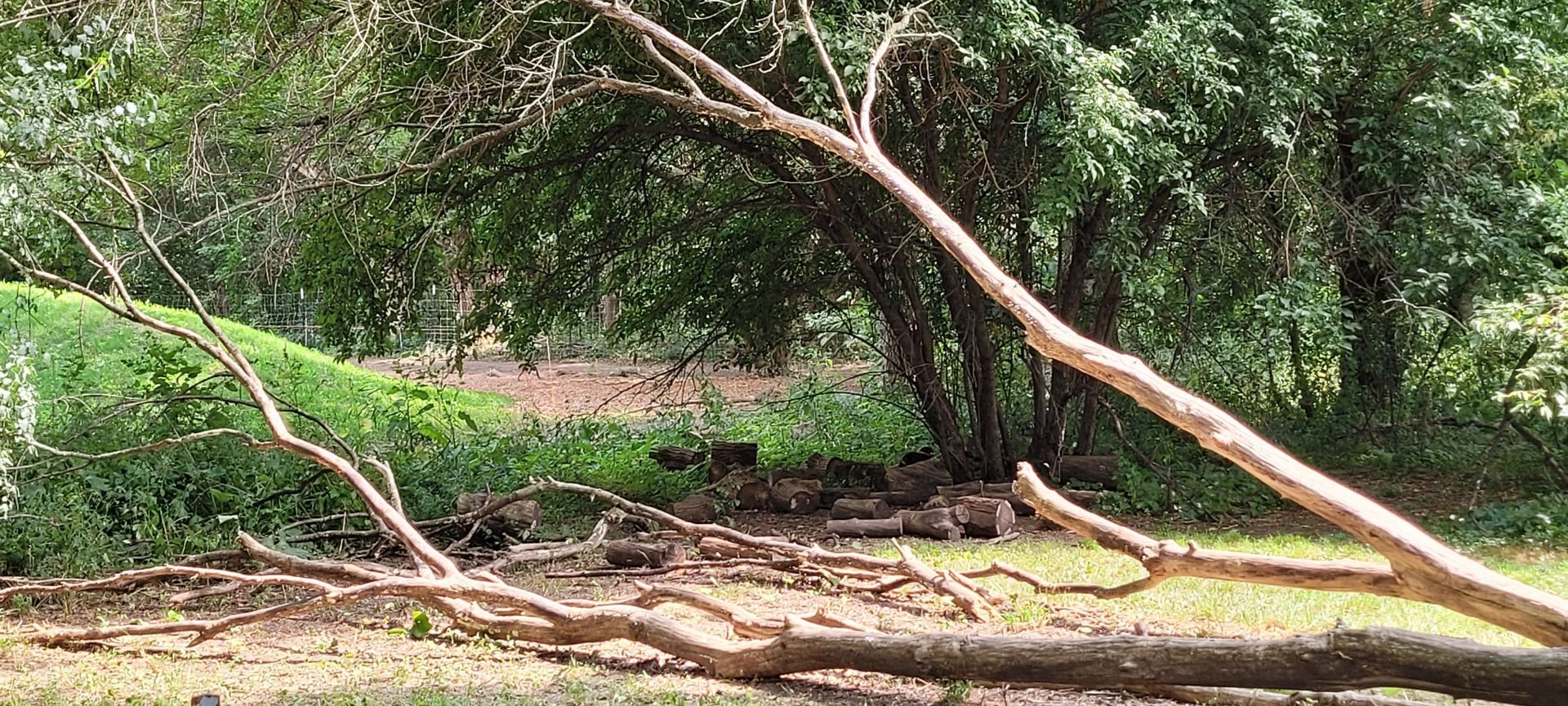 outdoor wooden play structure