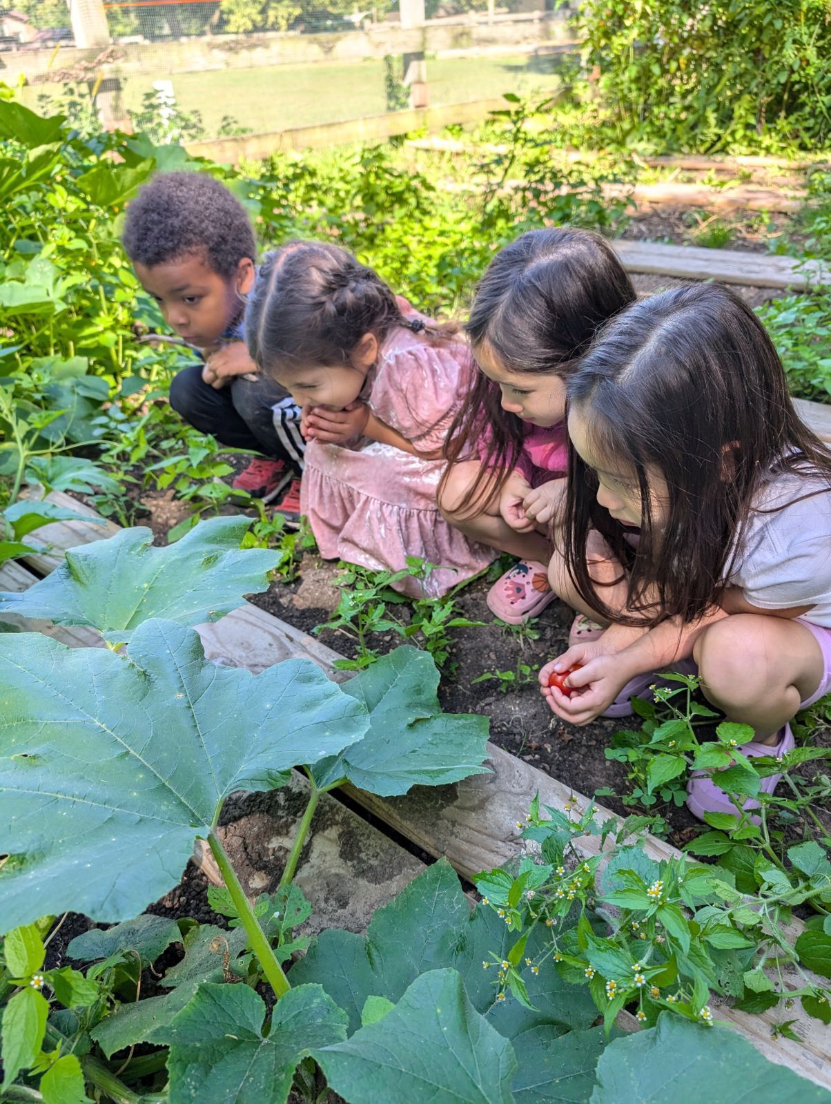 Kids playing outside
